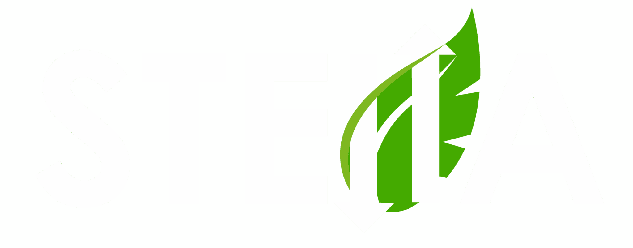 STELLA Project Intern